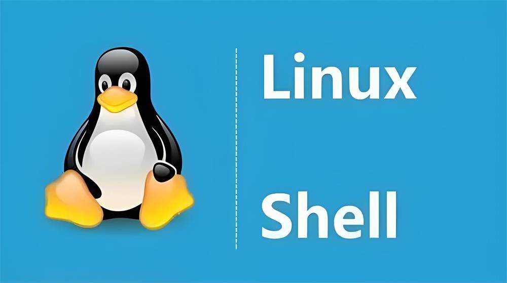 Linux find命令及实用示例详解-QQ沐编程